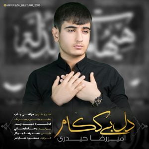 امیررضا حیدری دل بی ککام